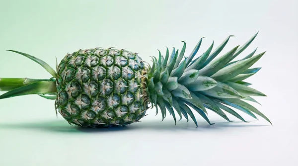 Artistic representation of metallic green pineapple in perfume – sharp fruit with ozonic and stem notes